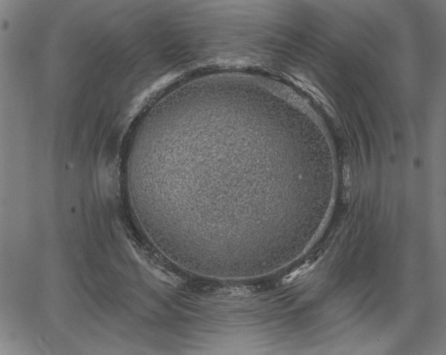 X0000065970492200603061153