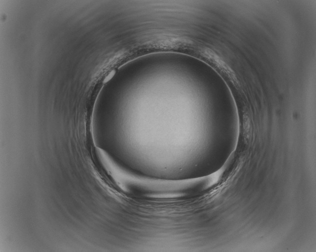 X0000065970493200603061153