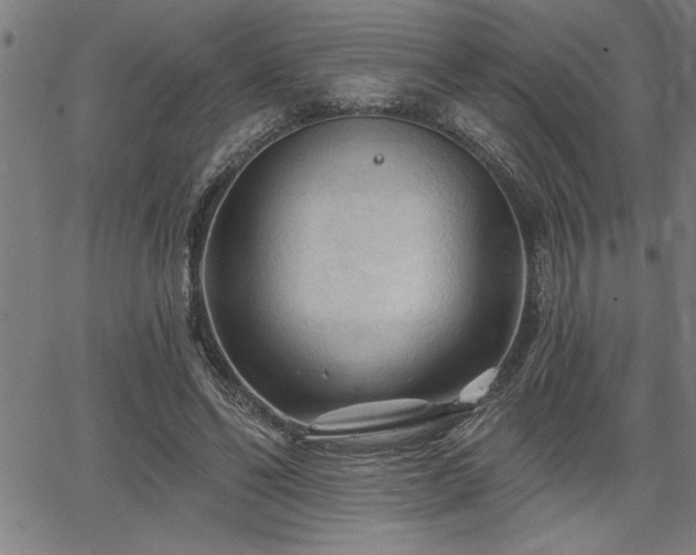 X0000065970494200603061153