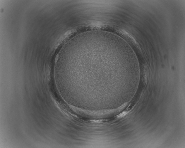 X0000065970496200603061153