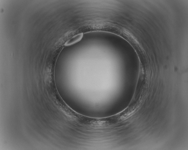 X0000065970497200603061153