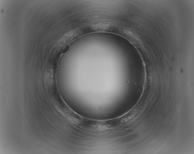 X0000065970498200603061153