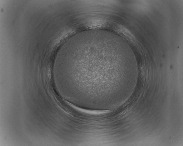 X0000065970499200603061153