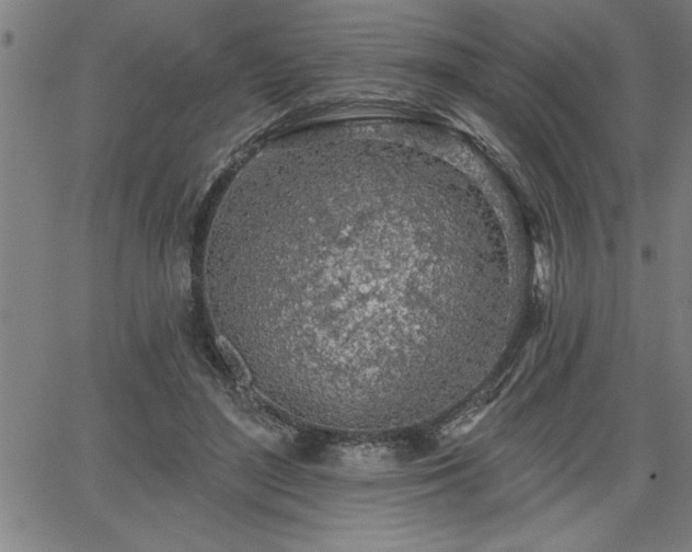 X0000065970500200603061153