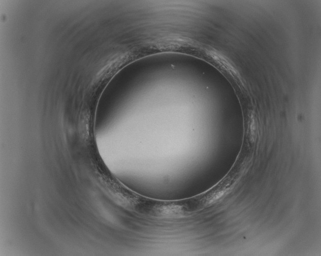 X0000065970501200603061153