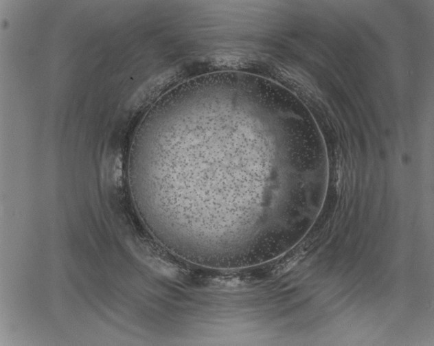 X0000065970502200603061153