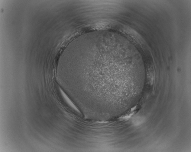 X0000065970503200603061153