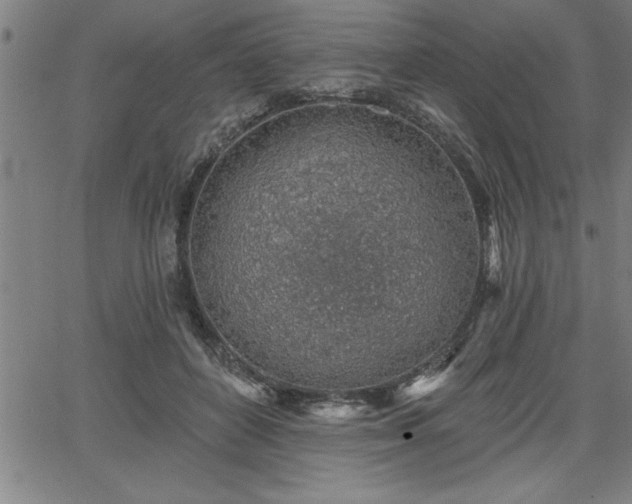 X0000065970504200603061153