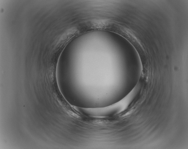 X0000065970505200603061153