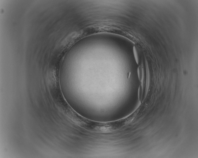 X0000065970506200603061153