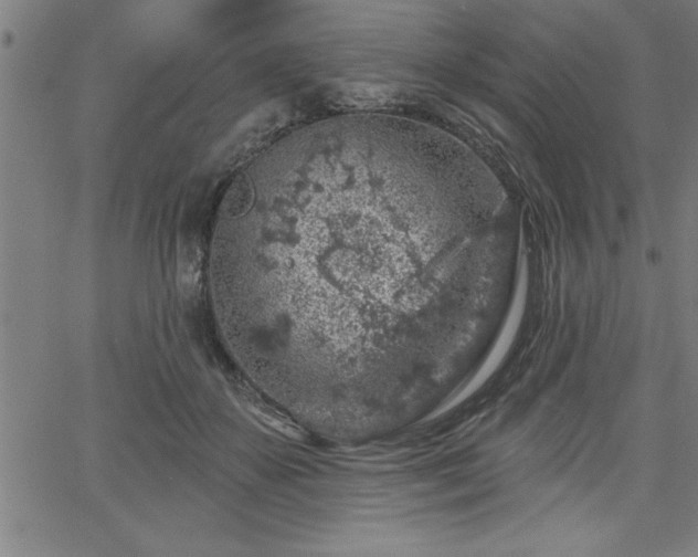 X0000065970507200603061153