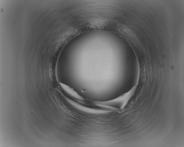 X0000065970508200603061153