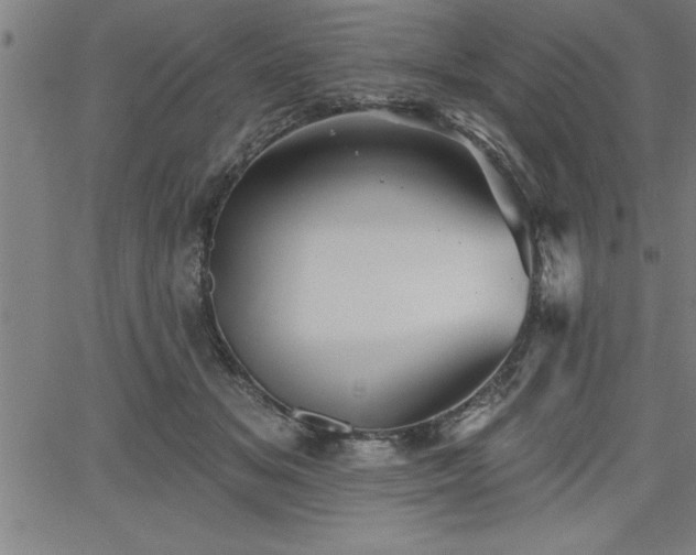 X0000065970509200603061153