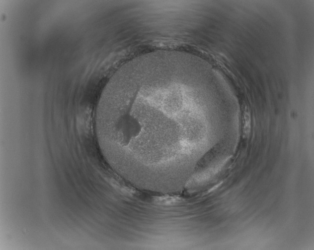 X0000065970511200603061153