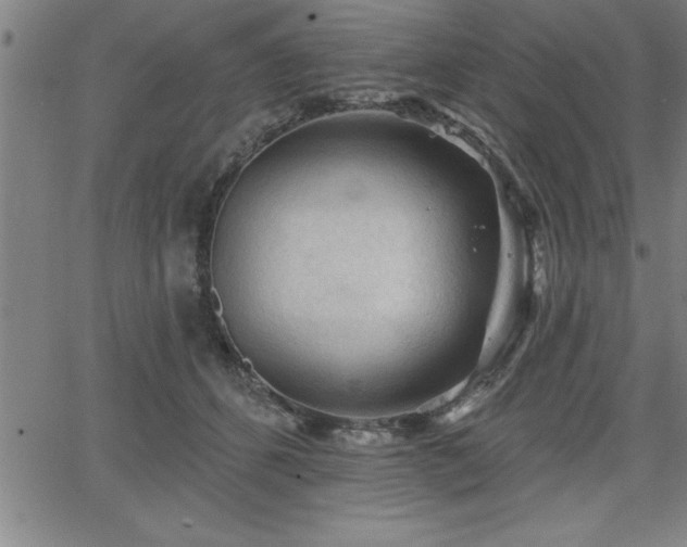 X0000065970512200603061153