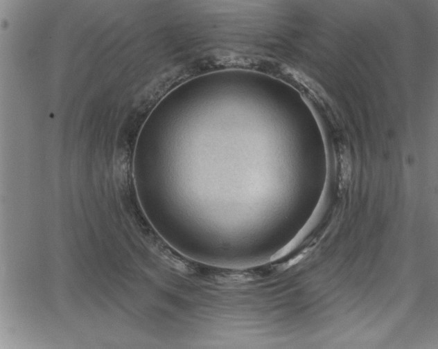 X0000065970513200603061153