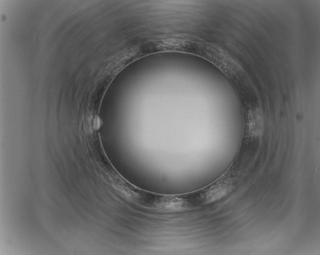 X0000065970514200603061153