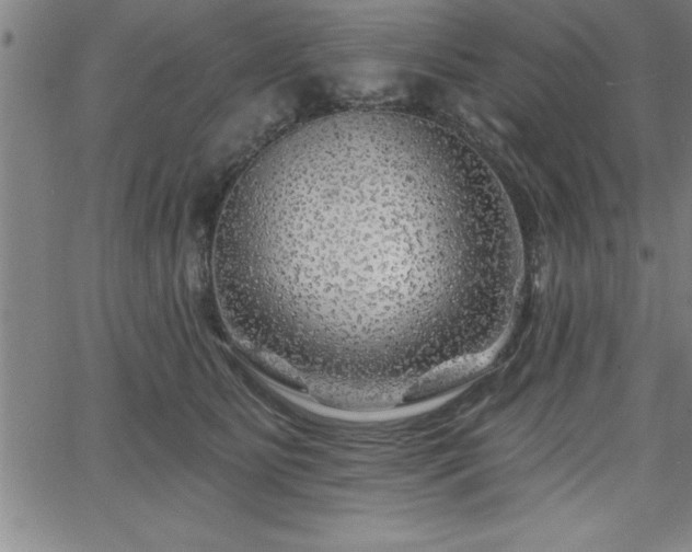 X0000065970515200603061153