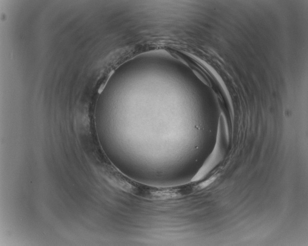 X0000065970516200603061153