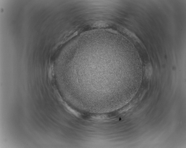 X0000065970517200603061152