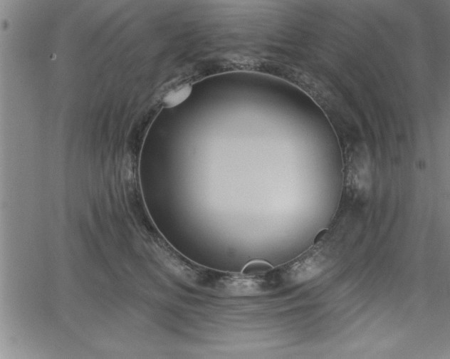 X0000065970518200603061152