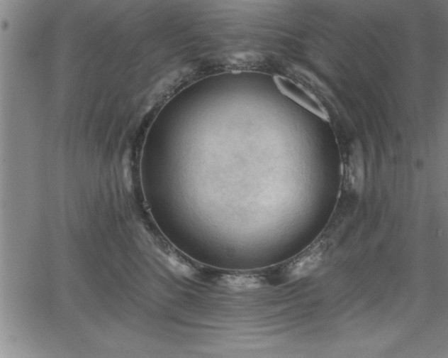 X0000065970520200603061152