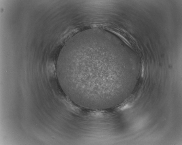 X0000065970523200603061152