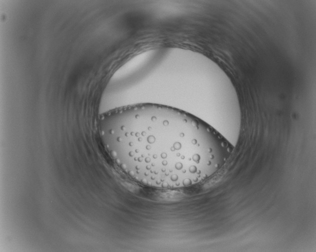 X0000065970527200603061152