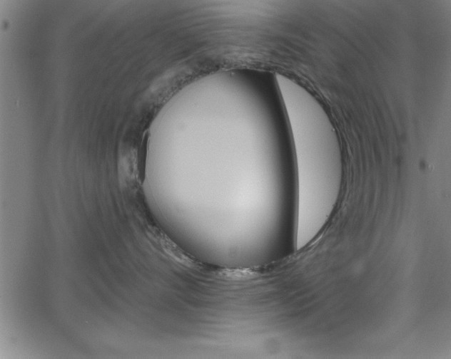 X0000065970528200603061152