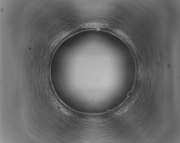 X0000065970529200603061152