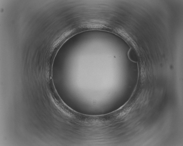 X0000065970533200603061152