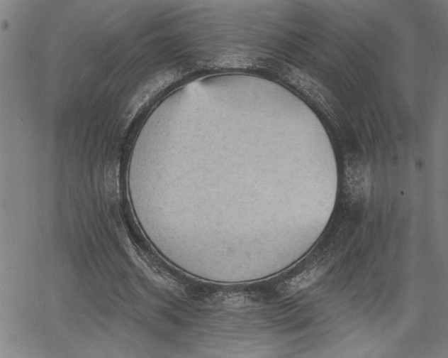 X0000065970534200603061152