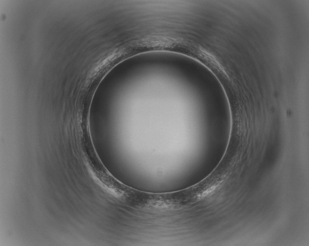 X0000065970538200603061152