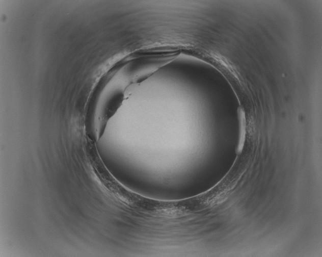 X0000065970540200603061152