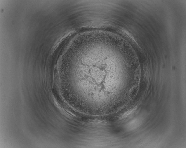 X0000065970542200603061152