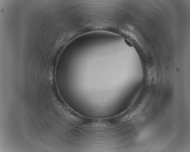 X0000065970545200603061152