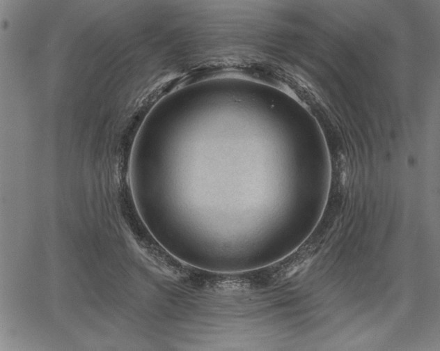 X0000065970546200603061152