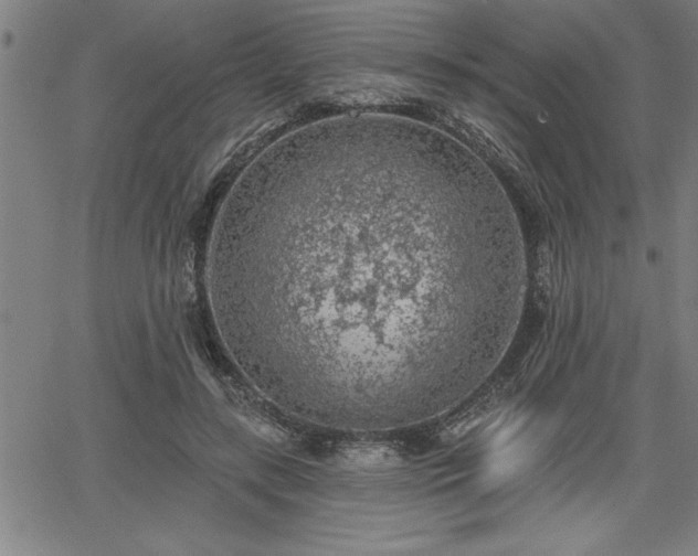 X0000065970547200603061152