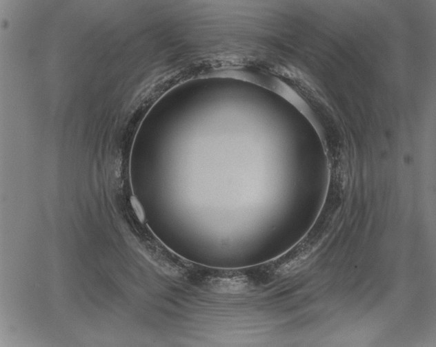 X0000065970548200603061152