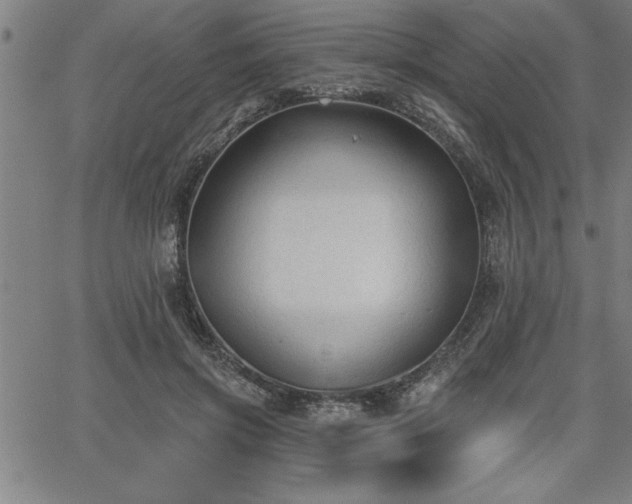 X0000065970549200603061152