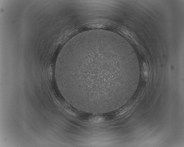 X0000065970551200603061152