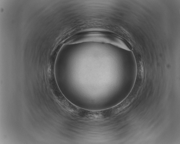 X0000065970552200603061152