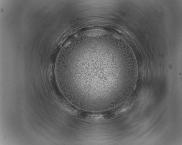 X0000065970554200603061152