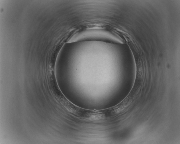 X0000065970555200603061152