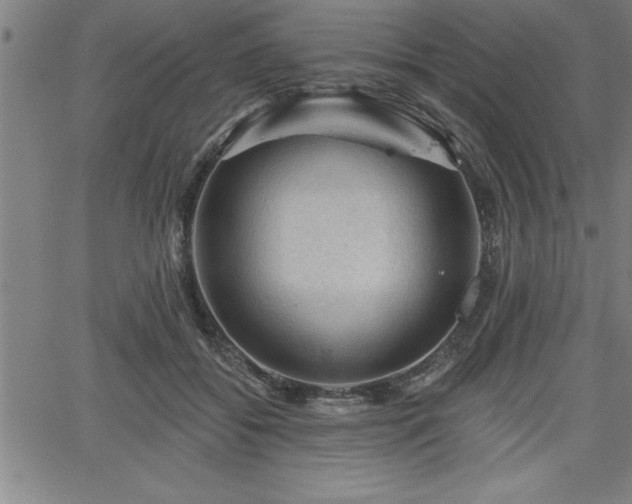 X0000065970556200603061152