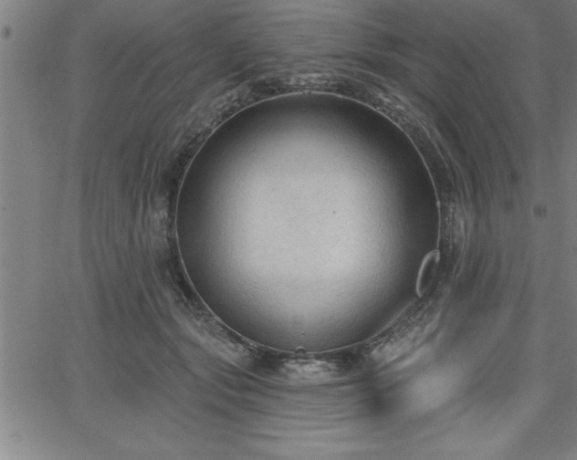 X0000065970557200603061152