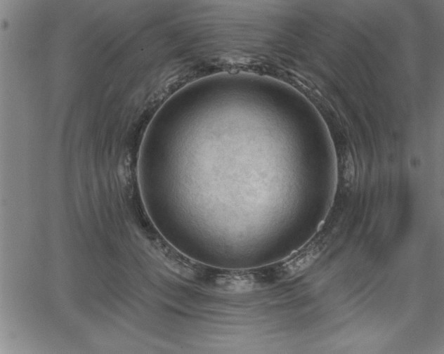 X0000065970559200603061152