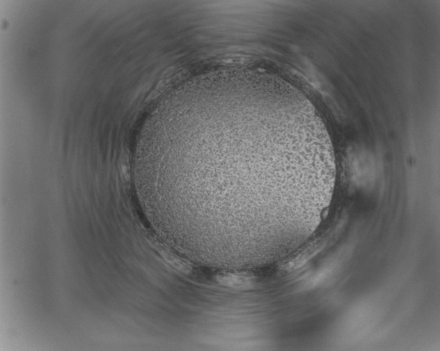 X0000065970561200603061152