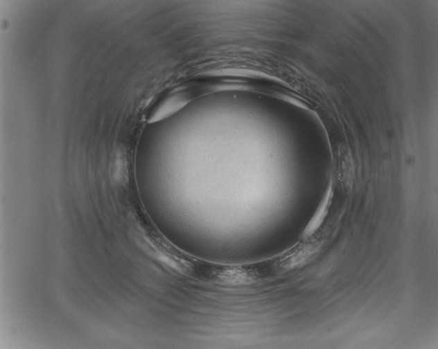 X0000065970562200603061152