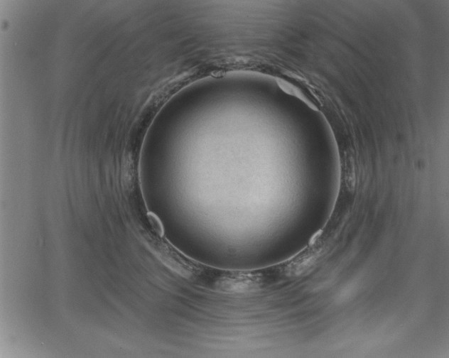 X0000065970563200603061152